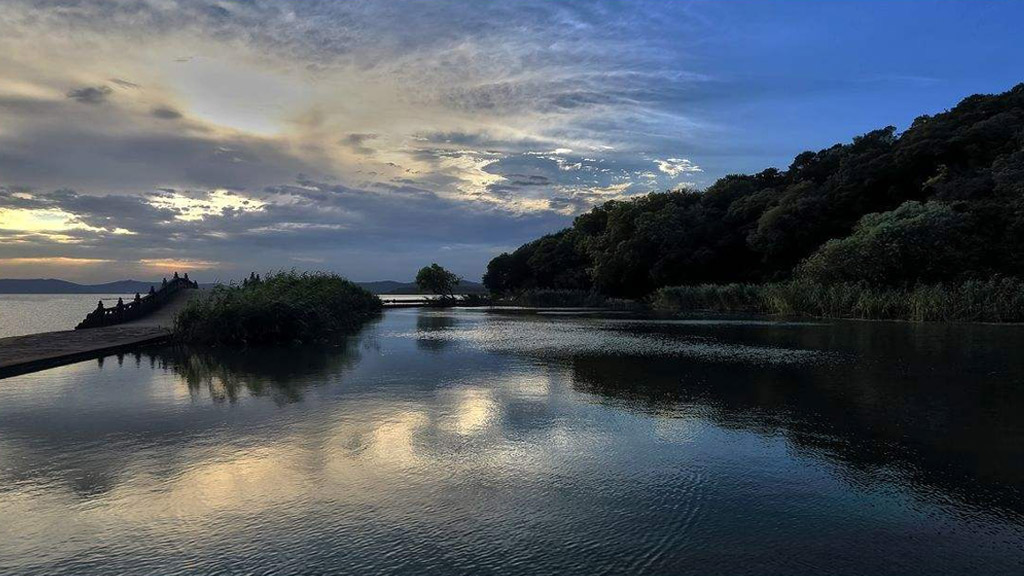 WDZ-ORNM 2000V 1*271 IEEE 45，需船级社认证证书