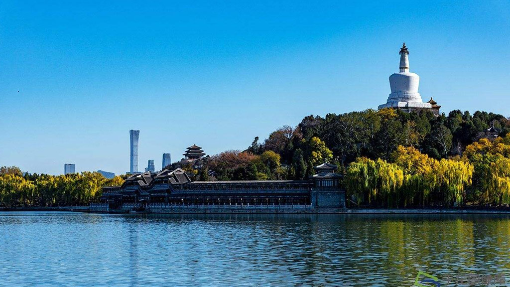 WDZ-ORNM 2000V 1*271 IEEE 45，需船级社认证证书