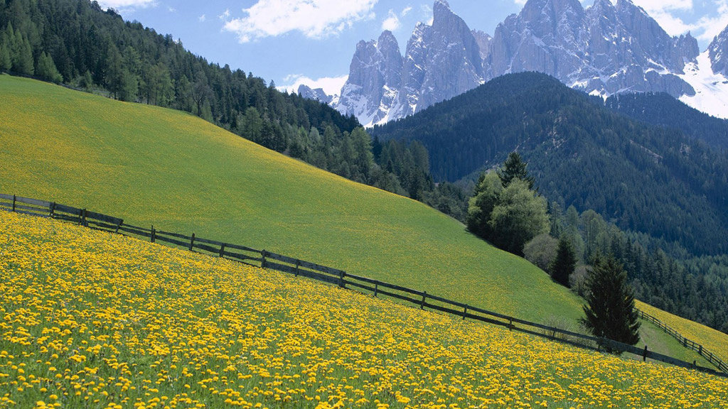 WDZ-ORNM 2000V 1*271 IEEE 45，需船级社认证证书